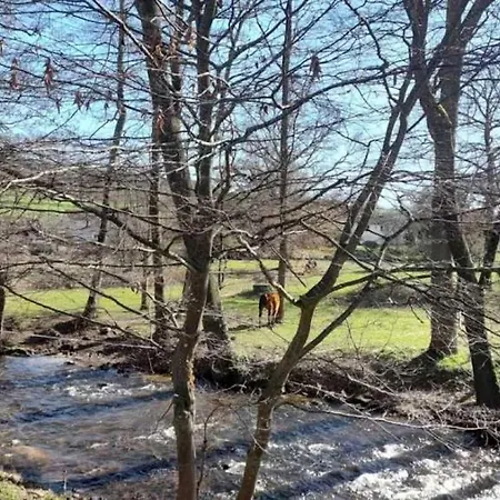 木屋 3 Etoiles - Piscine - Ccbbgcc Sauxillanges