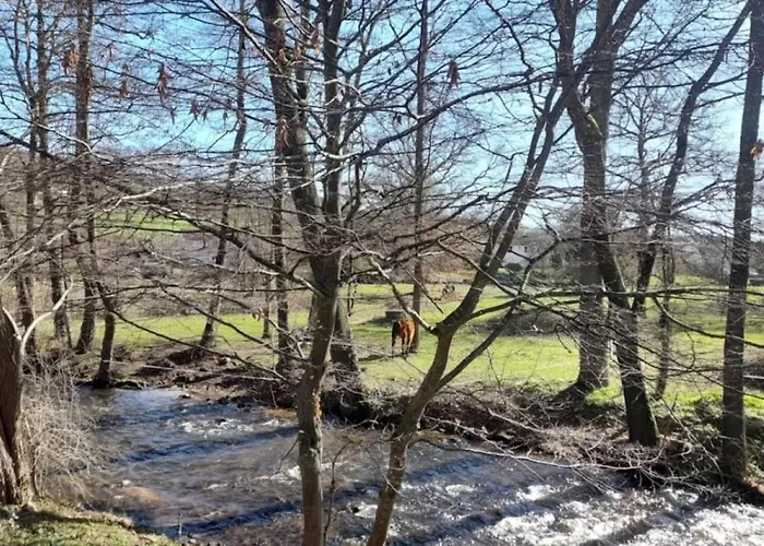 3 étoiles - Piscine - Ccbbgcc Chalet Sauxillanges
